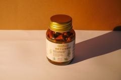 ARTUZEM